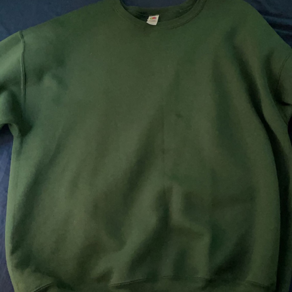 Fruit of The Loom Green Crewneck sweater